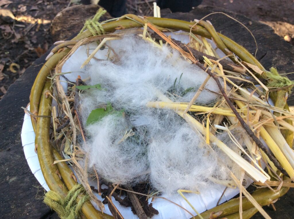 How to build a bird's nest using natural resources , bird nest 